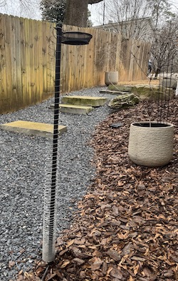 Courting Crows - Feeding station