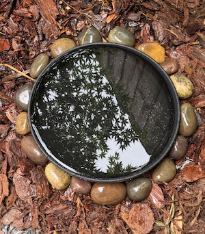 Crow bird bath