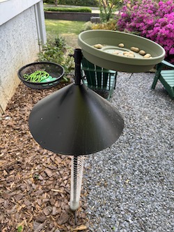 Crow Plate Pole with secondary offering plate