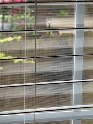 Failed attempt at a pic of a crow